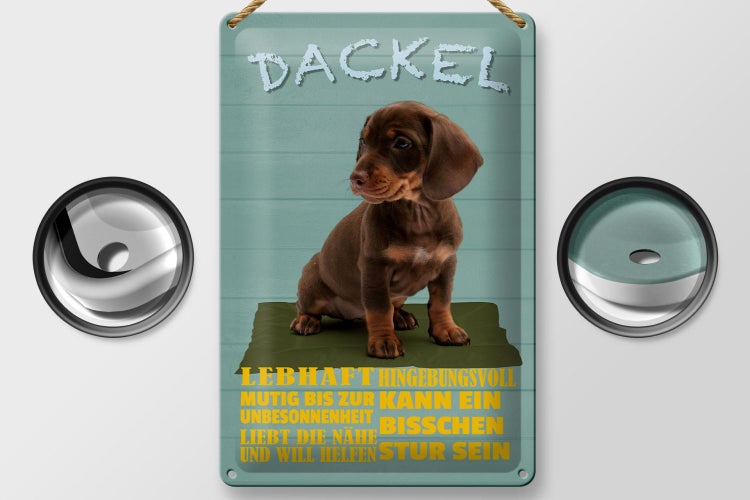 Blechschild Spruch 20x30cm Dackel Hund lebhaft mutig stur