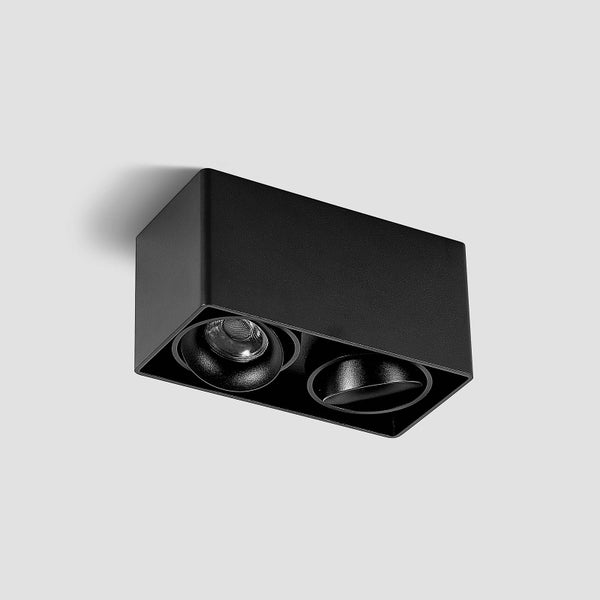 Schwarze Doppelstrahler Deckenleuchte