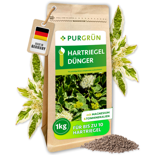 PURGRÜN Hartriegel Dünger 1 Kilogramm im wiederverschließbaren Beutel für prächtiges Pflanzenwachstum mit Magnesium und Tonmineralien.
