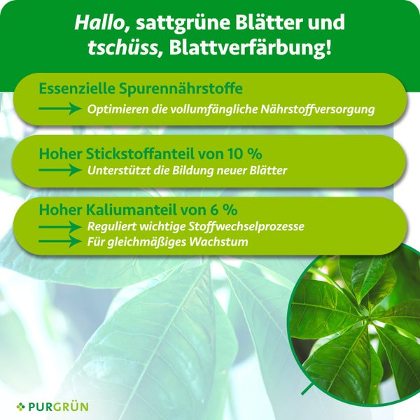 Regal mit drei Ablageflächen, darauf Dekoration und Aufbewahrungsboxen