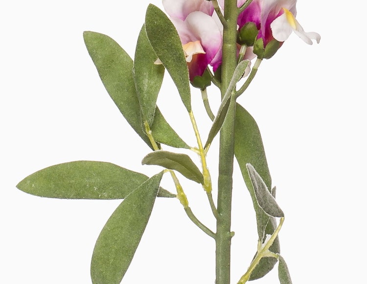 Kunstblume Löwenmäulchen LIMORG, Creme-pink, 80cm - Künstliche Blume