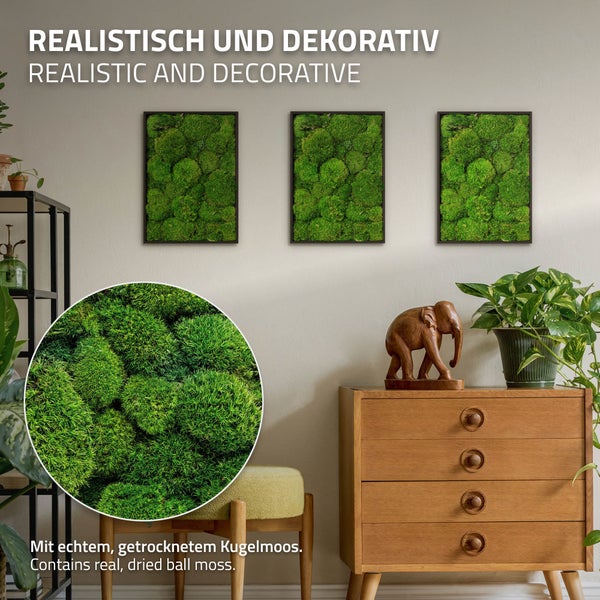 Drei Wandbilder mit echtem getrocknetem Kugelmoos in Holzrahmen als dekorative Wandgestaltung in einem Wohnraum.