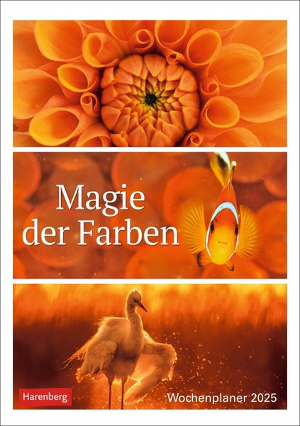 Magie der Farben Wochenplaner 2025 Kalender mit Fotos, die die Farben der Natur meisterhaft zur Geltung bringen. Praktischer Wandplaner mit hochwertigen Naturaufnahmen