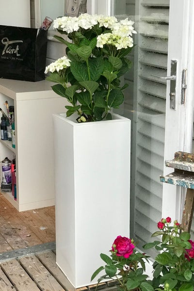 Hoher, weißer quadratischer Pflanzkübel mit einer weißen Hortensie auf einer Holzterrasse neben einer Glastür.