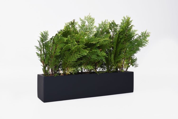 Künstliche Hecke in einem schwarzen rechteckigen Pflanzgefäß.
