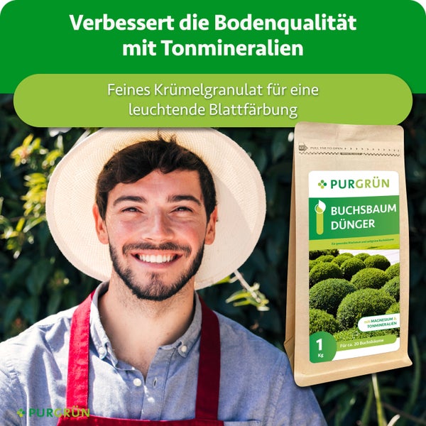 Lächelnder Gärtner neben einer Packung Purgrün Buchsbaumdünger mit Tonmineralien und Magnesium für gesundes Pflanzenwachstum.
