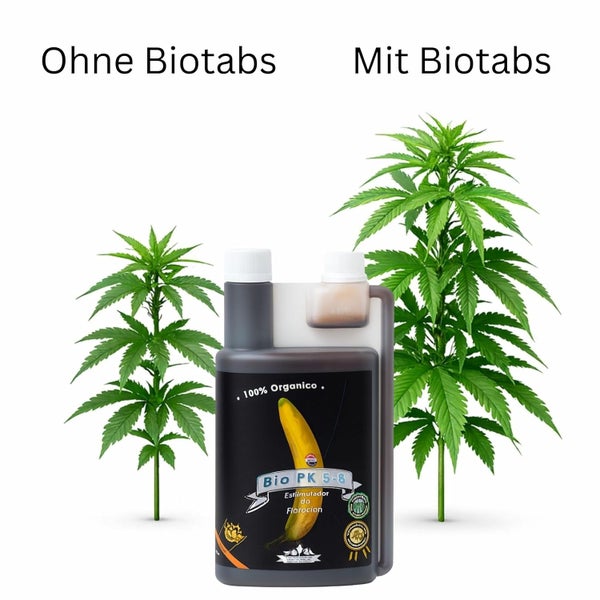 Vergleich des Pflanzenwachstums ohne und mit BioTabs Bio PK 5-8 Flüssigdünger, Flasche des 100 Prozent organischen Blühstimulators im Vordergrund.