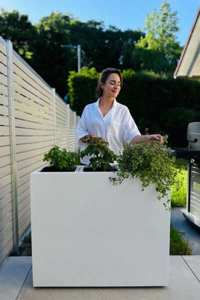 Frau hinter einem großen weißen rechteckigen Pflanzgefäß mit Kräutern und Tomatenpflanzen auf einer Terrasse neben einem Sichtschutzzaun.
