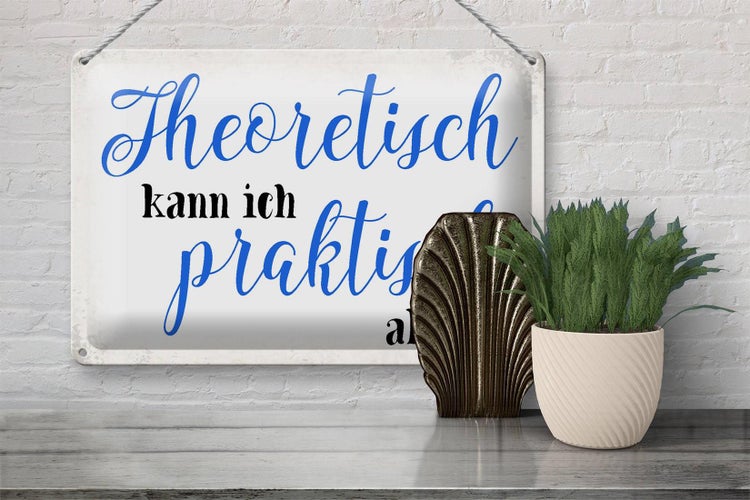Blechschild Spruch 30x20cm theoretisch kann praktisch alles