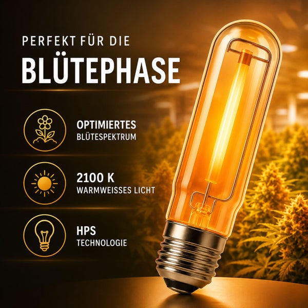 Hochdruck-Natrium-Pflanzenlampe für die Blütephase mit 2100 Kelvin warmweißem Licht und optimiertem Blütespektrum für Pflanzenwachstum.