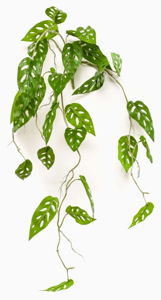 Künstliche Monstera Adansonii Hängepflanze mit charakteristisch gelochten grünen Blättern.