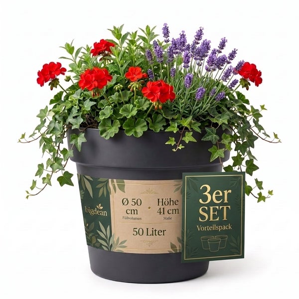 Drei teiliges Set aus Kunststoff Pflanzkübeln mit einem Durchmesser von 50 Zentimetern und einer Höhe von 41 Zentimetern, bepflanzt mit Blumen.