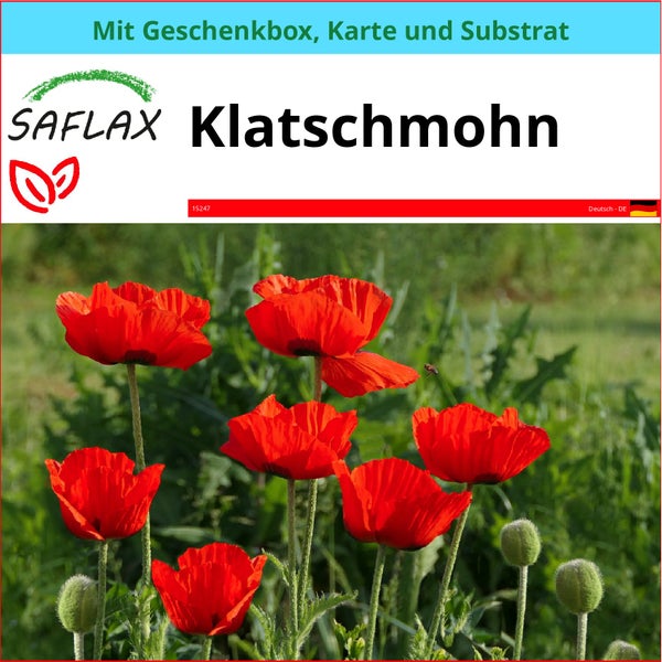 SAFLAX Geschenk Set - Klatschmohn - Papaver rhoeas - 27000 Samen - Mit Geschenkbox, Versandaufkleber, Geschenkkarte und Anzuchtsubstrat