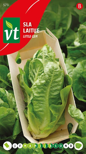 Samenpackung Little Gem Salat