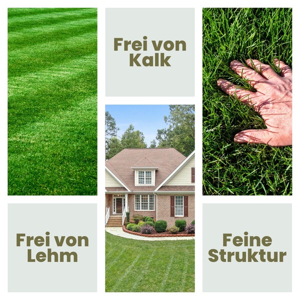 Collage: Rasenmerkmale wie feine Struktur, kalk- und lehmfrei.