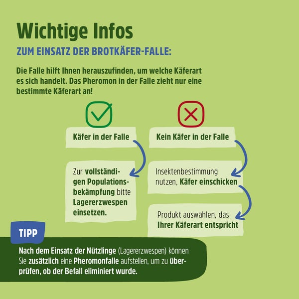 Brotkäferfalle giftfreie Pheromonfalle