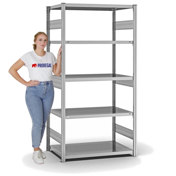 PROREGAL Fachbodenregal Stecksystem T-Profil Heavy-Duty Grundregal HxBxT 200 x 100 x 60 cm 5 Ebenen Fachlast 330 kg Beidseitig Nutzbar Verzinkt