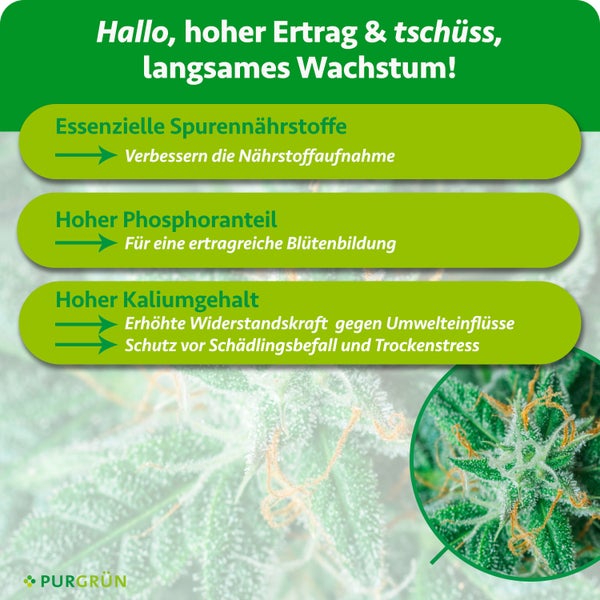 Infografik zu Pflanzendünger-Vorteilen: Spurennährstoffe, Phosphor und Kalium für Wachstum, Blütenbildung und Widerstandskraft. Purgrün Logo.