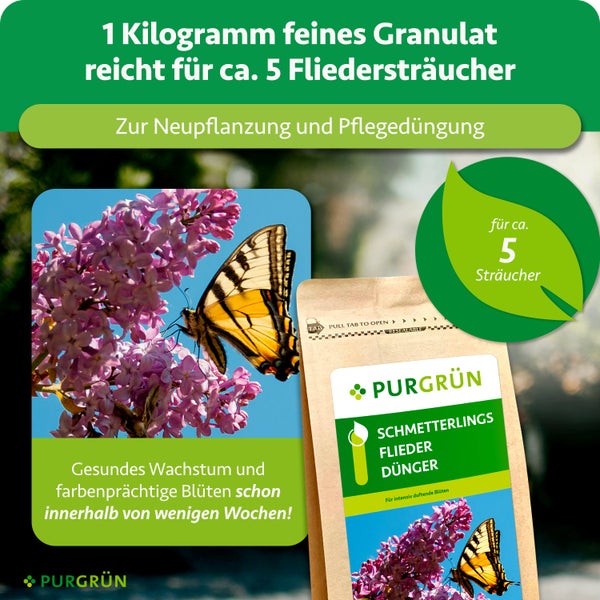 Purgrün Schmetterlingsflieder Dünger, 1 Kilogramm feines Granulat für circa 5 Fliedersträucher, für Neupflanzung und Pflegedüngung. Purgrün Logo.