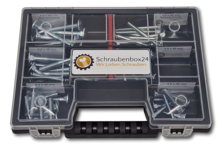 Flachkopfschrauben Sortiment M5-M6 // 30mm-50mm 60 tlg. Schraubenbox DIN 603 Bolzen Vollgewindeschrauben Maschinenschrauben Gewindeschrauben Flachkopfschrauben