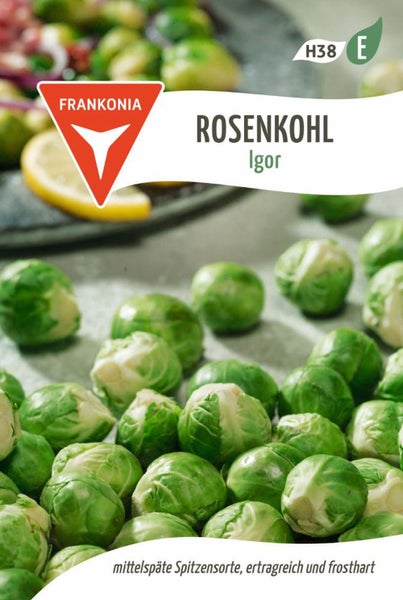 Rosenkohl der Sorte Igor