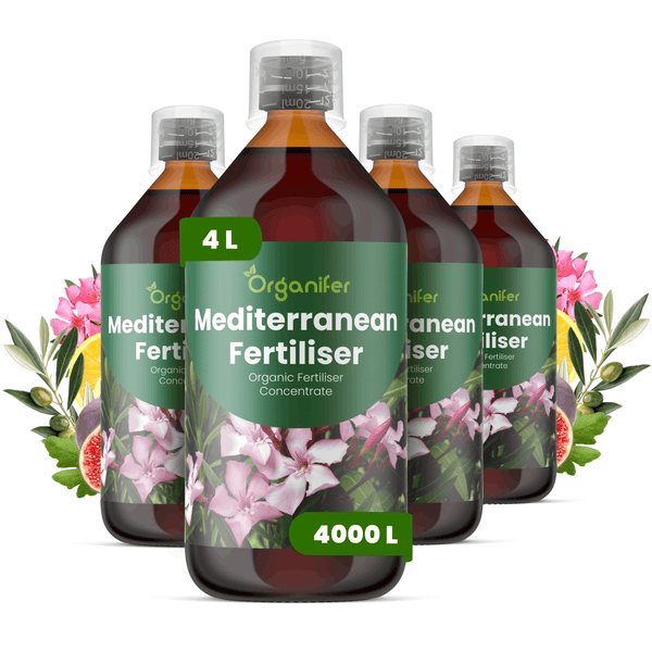 Vier Flaschen Organifer Mediterraner Dünger, Bio-Flüssigdünger-Konzentrat, 4 Liter für 4000 Liter Gießwasser, für mediterrane Pflanzen.