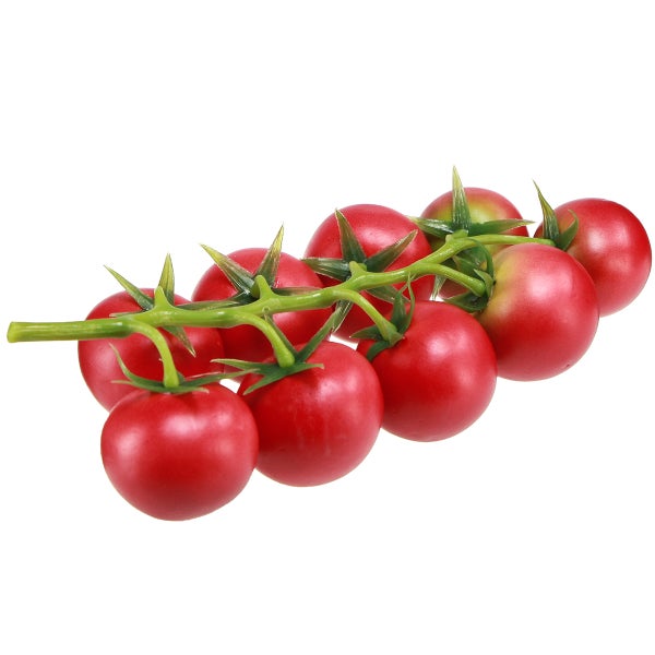 Strauch mit roten Zier-Tomaten