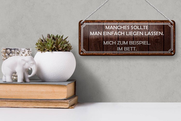 Blechschild Spruch 27x10cm manches sollte man liegen lassen Dekoration