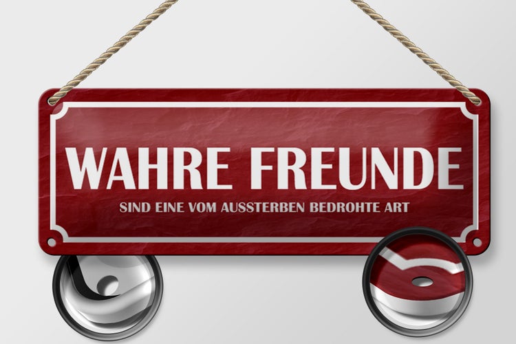 Blechschild Spruch 27x10cm wahre Freunde Dekoration