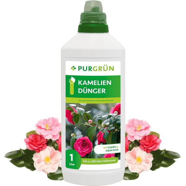 Purgrün Kameliendünger 1 Liter