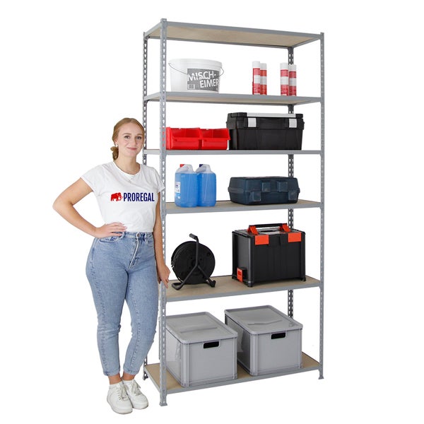 PROREGAL Schwerlastregal Giant Muli HxBxT 250 x 100 x 40 cm 6 Fachböden Fachlast 150 kg Grau