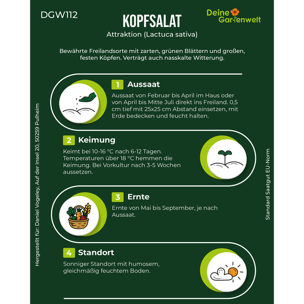 Infografik zum Anbau von Kopfsalat Attraktion: Tipps zu Aussaat, Keimung, Ernte und Standort. Deine Gartenwelt Logo.