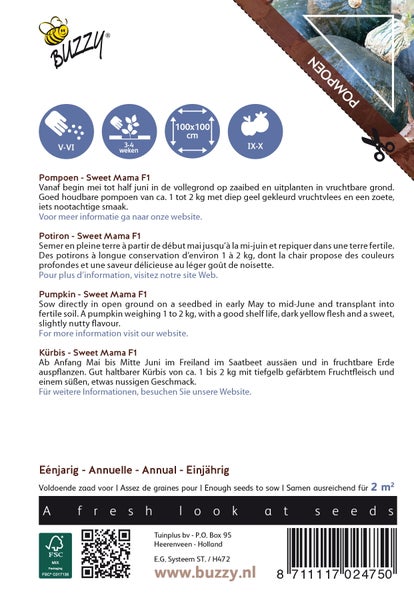 Buzzy Kürbis Sweet Mama F1 Samenpackung