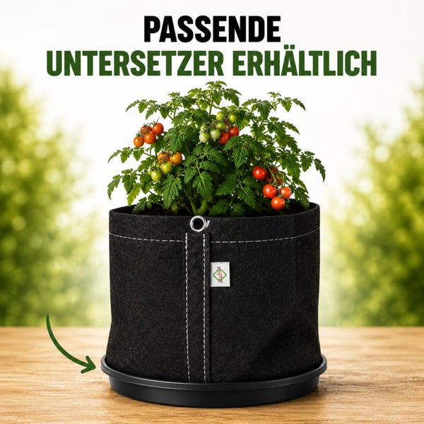 Tomatenpflanze in einem schwarzen Textil-Pflanztopf auf einem passenden schwarzen Untersetzer auf einem Holztisch.