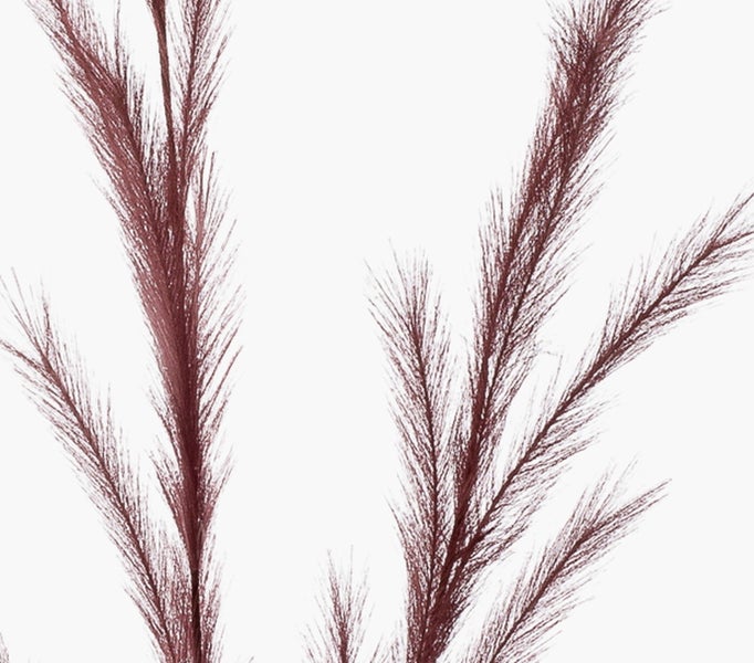 Künstliches Pampasgras in Dunkelrot für Dekorationszwecke.