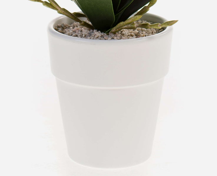 Weißer Keramik-Blumentopf mit grüner Pflanze und dekorativem Kies.