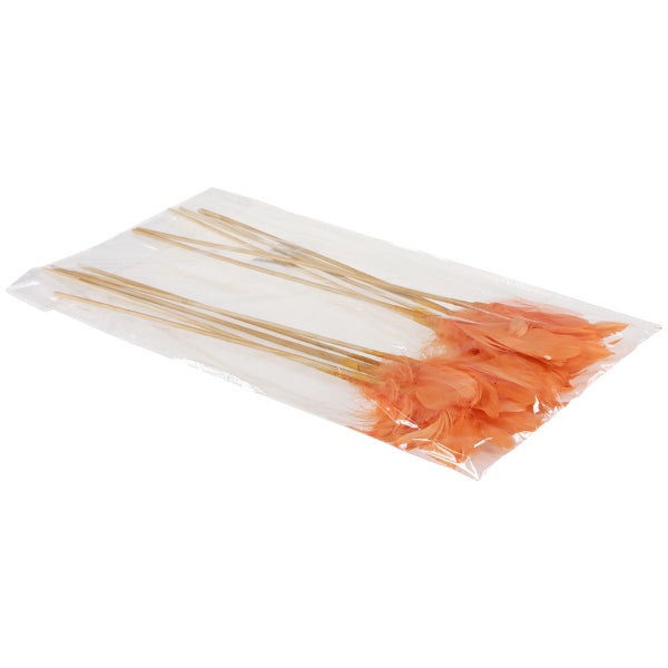 Dekorative Federn mit Holzstäben in Plastikverpackung