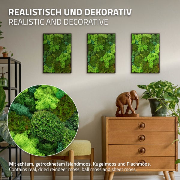 Drei quadratische Wandbilder aus echtem, getrocknetem Islandmoos, Kugelmoos und Flachmoos in einer modernen Wohnraumatmosphäre als Wanddekoration.