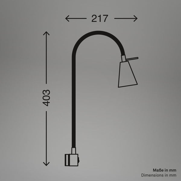Maße der Lampe in Millimeter: 217 mal 403.