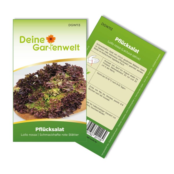 Pflücksalat Lollo rossa Samen von Deine Gartenwelt