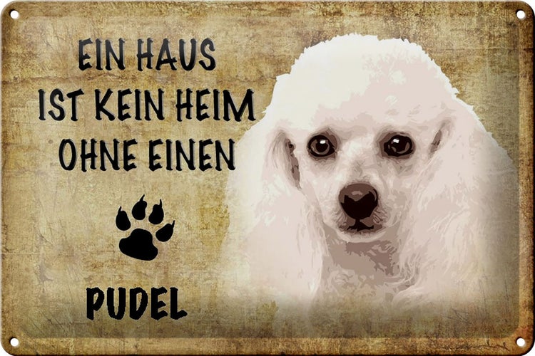 Blechschild Spruch 30x20cm Pudel Hund ohne kein Heim