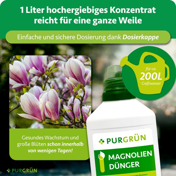 Purgrün Magnoliendünger, 1 Liter Konzentrat für circa 200 Liter Gießwasser, mit Dosierkappe für gesundes Wachstum und große Blüten.