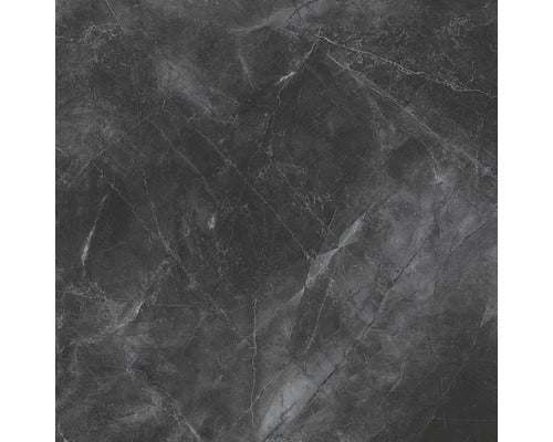 Wand- und Bodenfliese Pulpis Nero 60X60cm, poliert, rektifiziert