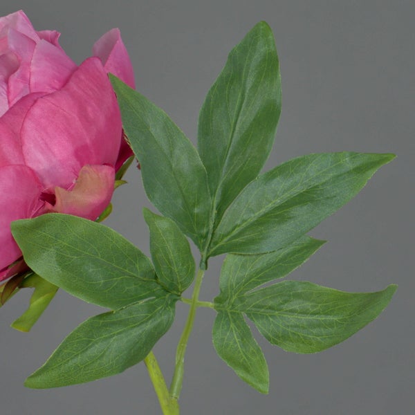 Künstliche Pfingstrose mit grünen Blättern und pinkfarbener Blüte