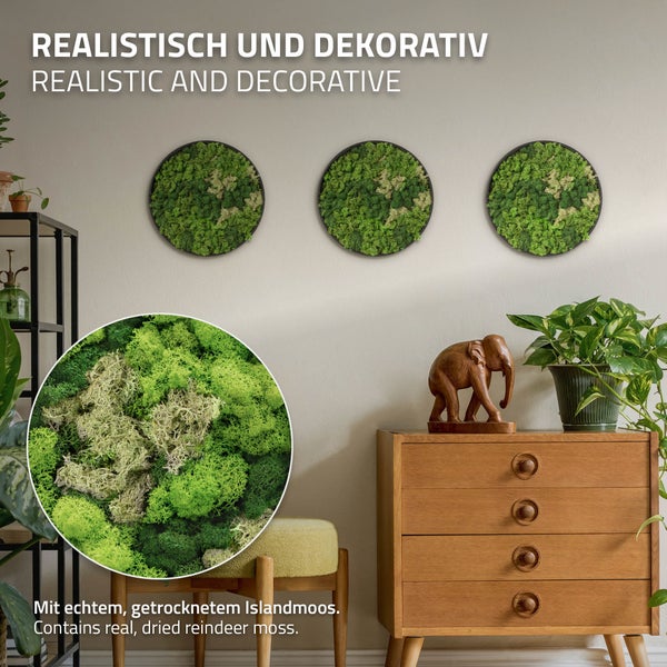 Drei runde Wandbilder mit echtem, getrocknetem Islandmoos als dekoratives Wandelement in einem Wohnraum.