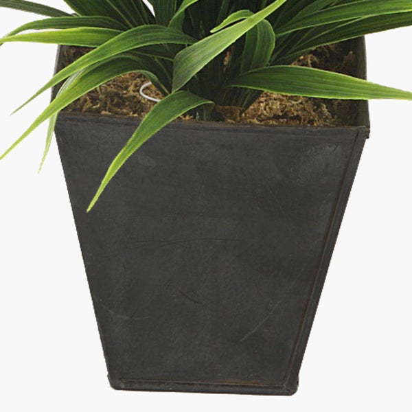 Künstliches Pampasgras im schwarzen Kunststofftopf mit langen grünen Halmen und flauschigen hellen Blütenwedeln.