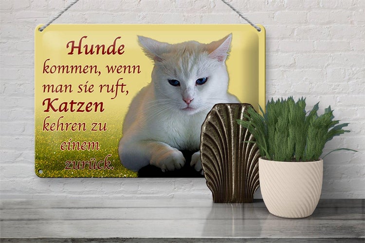 Blechschild Spruch 30x20cm Hunde kommen Katzen kehren zurück