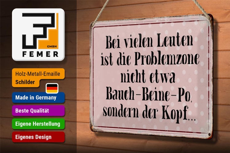 Blechschild Spruch 30x20cm Problemzone ist der Kopf Retro