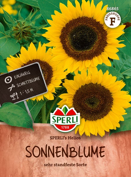 Samenpaket Sperli Sonnenblume Helios, einjährige Schnittblume mit einer Wuchshöhe von 1 bis 1,5 Metern.