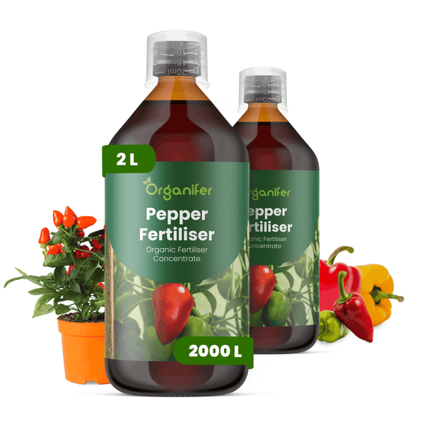 Organifer Paprikadünger, organisches Konzentrat, 2 Liter Set für Paprika und Chili.